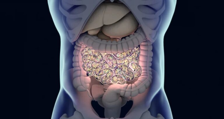 Pesquisa identifica 168 substâncias comuns que prejudicam bactérias benéficas do intestino