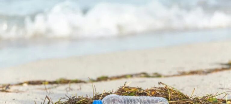 Quase metade dos ambientes aquáticos do planeta apresenta lixo, aponta estudo da Unifesp