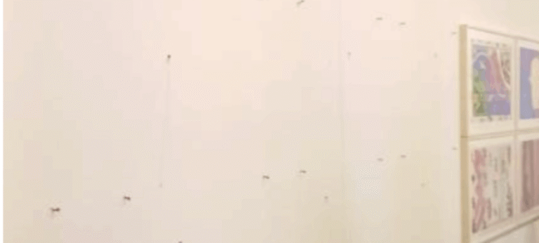 Suspeito de roubar 13 obras de Portinari e Matisse é preso em São Paulo