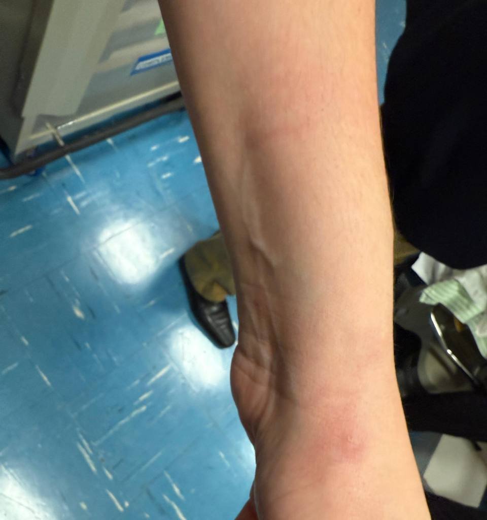 Deputados do Psol registram ocorrência por agressão após retirada do plenário da Câmara - Imagem do artigo original