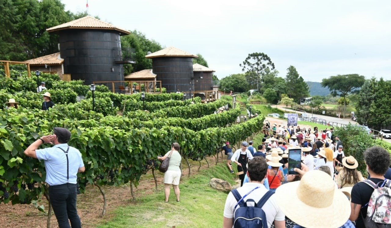 Rotas do Vinho impulsionam enoturismo e ampliam fluxo de visitantes em São Paulo - Imagem do artigo original