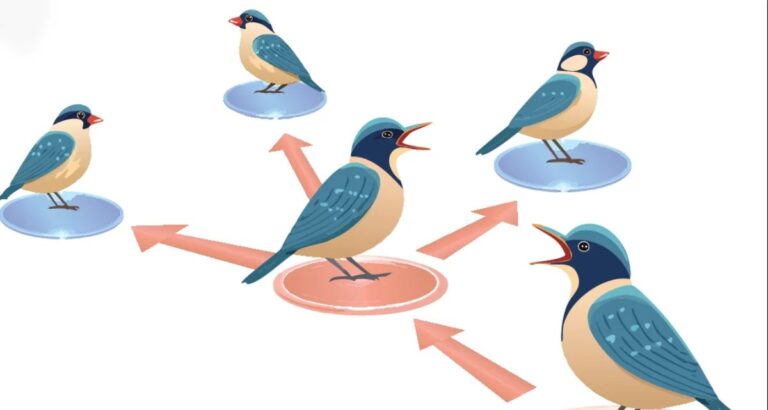 Animais também espalham “fake news”, aponta estudo da Universidade Cornell