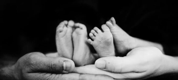 Imagem destacada - Ultrassom 3D e inteligência artificial antecipam diagnóstico de más-formações fetais no Brasil