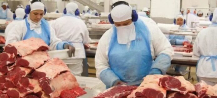 Imagem destacada - Brasil assume liderança mundial na produção de carne bovina em 2025
